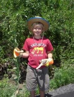 Photo 1 from FRIENDS OF ALTA INC